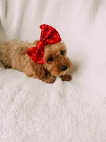 processed/a92876b7-2e87-4b1d-8cf0-d43b90c0f9fd/listing/4e359c9a-cd25-4cf5-97de-b238f2efd332/b6ff074e-02de-4580-bbc5-b67372f30d14