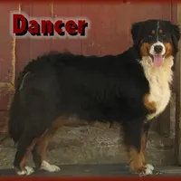 processed/a92c5d17-43d8-4656-ae22-aa1c631caa23/facility/3f5b1f8e-8417-4dbf-8ac7-68f91ca32bc0