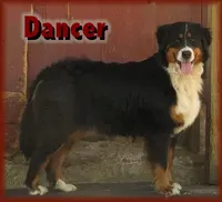 processed/a92c5d17-43d8-4656-ae22-aa1c631caa23/facility/3f5b1f8e-8417-4dbf-8ac7-68f91ca32bc0