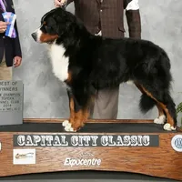 processed/a92c5d17-43d8-4656-ae22-aa1c631caa23/facility/7ea85725-cab6-4caa-a193-3884b742da91