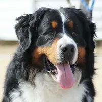 processed/a92c5d17-43d8-4656-ae22-aa1c631caa23/facility/f3072f19-cdc0-40a6-9b17-db2aea81274b