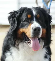 processed/a92c5d17-43d8-4656-ae22-aa1c631caa23/facility/f3072f19-cdc0-40a6-9b17-db2aea81274b