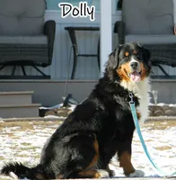 processed/a92c5d17-43d8-4656-ae22-aa1c631caa23/listing/f0dee493-d6c1-4c4d-9eb7-746745dfcd82/e6416714-873c-4cda-8510-f1c94bc2eed0