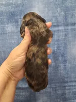 Pickles, a male Miniature Dachshund for sale in Durand, IL – Photo 3 of 3