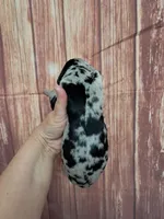 AKC Kira, a female Great Dane for sale in Durand, IL – Photo 2 of 3