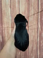 AKC Kenya, a female Great Dane for sale in Durand, IL – Photo 3 of 3