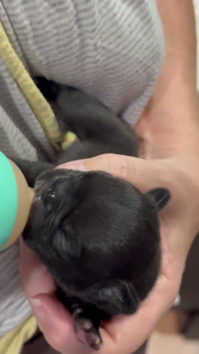 Facility video