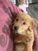 processed/a93b0039-651c-45b6-8279-046932a65219/listing/0b5713eb-8eae-42ec-9c90-be308d034863/29303963-81fd-4be8-acf5-38386a7a30ce