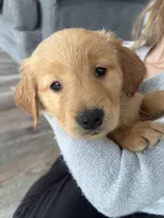 processed/a93b0039-651c-45b6-8279-046932a65219/listing/0b5713eb-8eae-42ec-9c90-be308d034863/ec8f9c34-c81e-477c-b395-f54500993bd7