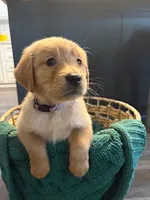 processed/a93b0039-651c-45b6-8279-046932a65219/listing/0b5713eb-8eae-42ec-9c90-be308d034863/fceabefd-7d2f-4ca4-8df7-972b8e63207f