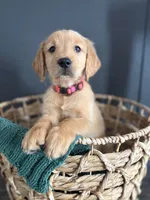 processed/a93b0039-651c-45b6-8279-046932a65219/listing/6bc7a451-bb83-414d-a41c-ad8940af63e7/3fb749fb-0cc0-4411-bb18-950c0bc468b7