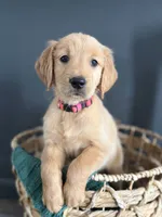 processed/a93b0039-651c-45b6-8279-046932a65219/listing/6bc7a451-bb83-414d-a41c-ad8940af63e7/81da1a6b-7e3a-48e2-a52f-1c78f1539ef2