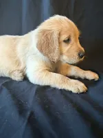 processed/a93b0039-651c-45b6-8279-046932a65219/listing/c9aaddf8-e6a9-49d7-a6d4-3c9313477d85/54531716-bd1d-4b5a-a821-3f7563edcdef