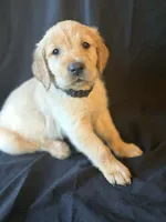 processed/a93b0039-651c-45b6-8279-046932a65219/listing/c9aaddf8-e6a9-49d7-a6d4-3c9313477d85/77a256c1-9a9e-449a-9f36-e1d3de0165b6