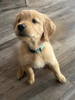 processed/a93b0039-651c-45b6-8279-046932a65219/listing/f2d5c1ca-f920-4bf0-9a01-d7347340c5ef/200d7ef8-b8f2-41b0-85f7-f2aee8b2f5a1