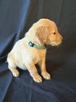 processed/a93b0039-651c-45b6-8279-046932a65219/listing/f2d5c1ca-f920-4bf0-9a01-d7347340c5ef/29981395-862e-48df-86d8-66082e1e4936