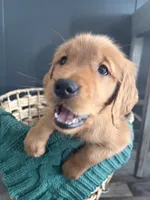 processed/a93b0039-651c-45b6-8279-046932a65219/listing/f7659396-fa47-4322-902e-882e0d68a9ce/f3652d52-e326-4da2-8f95-5f27f98100d7