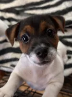 processed/a93fcc8a-de0a-4120-b12f-78e663b12b5e/facility/0f9b9134-ddbe-4835-acf6-4b8aee2a4c98