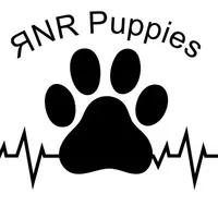 processed/a947c527-b4aa-4e2f-ba5e-a8ec25ed5734/facility/3be76598-889f-4784-9924-5ea1bddb0732