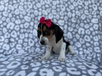 processed/a947c527-b4aa-4e2f-ba5e-a8ec25ed5734/listing/3fcfd700-8ad3-422a-99c6-43b36735c6c7/b950552b-d5f9-43c5-a79a-a798328a95fc