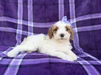 processed/a947c527-b4aa-4e2f-ba5e-a8ec25ed5734/listing/4c7370a2-650e-48a0-8257-2b353c9a011b/2b46d126-20a4-45c6-8c09-e057bfe8fa25