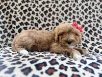 processed/a947c527-b4aa-4e2f-ba5e-a8ec25ed5734/listing/4c7370a2-650e-48a0-8257-2b353c9a011b/5d1a38e3-7cfe-427b-851e-cbd558b6064a