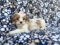 processed/a947c527-b4aa-4e2f-ba5e-a8ec25ed5734/listing/4c7370a2-650e-48a0-8257-2b353c9a011b/dbfe384f-21bb-4688-81fc-b14428d03162