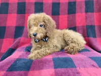 processed/a947c527-b4aa-4e2f-ba5e-a8ec25ed5734/listing/4c7370a2-650e-48a0-8257-2b353c9a011b/ec9607ab-cadc-42ff-b18d-3f40335269d1