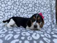 processed/a947c527-b4aa-4e2f-ba5e-a8ec25ed5734/listing/6cf3aff6-2d74-46c9-a5ef-db8aee96f813/0ad0fcb6-147e-45e5-8520-1d79935e29f3