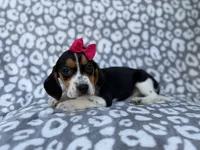 processed/a947c527-b4aa-4e2f-ba5e-a8ec25ed5734/listing/6cf3aff6-2d74-46c9-a5ef-db8aee96f813/4b0e5648-7655-4fe0-b8d4-da00cb24849c