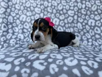 processed/a947c527-b4aa-4e2f-ba5e-a8ec25ed5734/listing/6cf3aff6-2d74-46c9-a5ef-db8aee96f813/4d930317-9ebd-4e7b-8b14-7190815b82c8