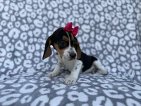 processed/a947c527-b4aa-4e2f-ba5e-a8ec25ed5734/listing/6cf3aff6-2d74-46c9-a5ef-db8aee96f813/947a2d8e-5818-4671-8165-4d241ab0f4a0