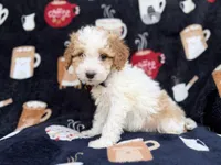 processed/a947c527-b4aa-4e2f-ba5e-a8ec25ed5734/listing/6cf3aff6-2d74-46c9-a5ef-db8aee96f813/b885eeaa-37e4-403d-809e-e5b8fc9bc614