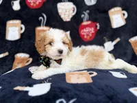 processed/a947c527-b4aa-4e2f-ba5e-a8ec25ed5734/listing/6cf3aff6-2d74-46c9-a5ef-db8aee96f813/c54daf40-e4eb-4542-8dab-1b416de96b3e