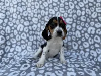 processed/a947c527-b4aa-4e2f-ba5e-a8ec25ed5734/listing/6cf3aff6-2d74-46c9-a5ef-db8aee96f813/df2464e0-a3d7-4944-ad93-a75d958630c5