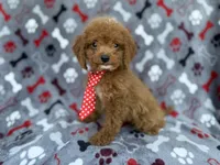 processed/a947c527-b4aa-4e2f-ba5e-a8ec25ed5734/listing/ab454ed4-c25c-43c0-8830-3ad1adeb0817/0d40bc3d-28d2-4c80-8787-77e03b644067