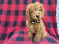 processed/a947c527-b4aa-4e2f-ba5e-a8ec25ed5734/listing/b195efb6-495f-4dc0-a265-6ff00247176d/4e6afe77-a428-436a-9405-b0a4b7d7ff72