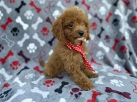 processed/a947c527-b4aa-4e2f-ba5e-a8ec25ed5734/listing/b195efb6-495f-4dc0-a265-6ff00247176d/572024e7-61e0-48d4-99e9-eea5ee8446d8