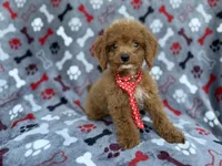 processed/a947c527-b4aa-4e2f-ba5e-a8ec25ed5734/listing/b195efb6-495f-4dc0-a265-6ff00247176d/84028e2c-6c73-4b43-9c86-91d39507da4c