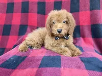 processed/a947c527-b4aa-4e2f-ba5e-a8ec25ed5734/listing/b195efb6-495f-4dc0-a265-6ff00247176d/cc7d3dd5-9add-4b80-bbbb-6243f51e3db0