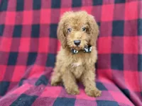 processed/a947c527-b4aa-4e2f-ba5e-a8ec25ed5734/listing/b195efb6-495f-4dc0-a265-6ff00247176d/d104e61e-9c77-4949-9e69-e109a8772ace