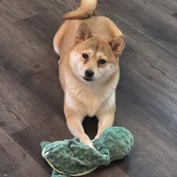 processed/a9520289-df21-4351-a643-27a2cd4fb151/facility/b82932fa-7126-4ba4-9387-640af5623407