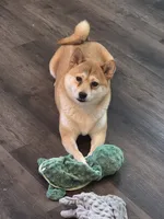 processed/a9520289-df21-4351-a643-27a2cd4fb151/facility/b82932fa-7126-4ba4-9387-640af5623407