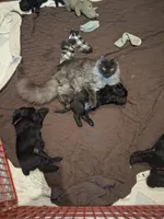 processed/a958d641-cf1f-41e4-8ef4-15afa3c2087d/facility/c0df63a3-5d02-45c8-b116-22d550de223a