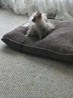 processed/a95b65e1-9c4c-4e7b-9f31-5b26f5d6b628/facility/14e11f92-9209-463a-a7ad-4661f3bbeacb