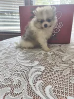 processed/a95b65e1-9c4c-4e7b-9f31-5b26f5d6b628/facility/17eb688a-06e9-49c8-b5a5-28cef609d5be