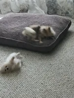 processed/a95b65e1-9c4c-4e7b-9f31-5b26f5d6b628/facility/4ce2750d-c50f-4391-b7f0-6f505610379d