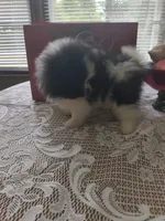 processed/a95b65e1-9c4c-4e7b-9f31-5b26f5d6b628/facility/73dbf7f2-d805-40cf-a364-b6889d7bea58