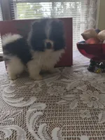 processed/a95b65e1-9c4c-4e7b-9f31-5b26f5d6b628/facility/89e563a2-8ac7-4bdb-a2f9-6b6c8cf325c5