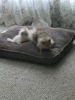 processed/a95b65e1-9c4c-4e7b-9f31-5b26f5d6b628/facility/95cf9228-07cd-49fa-9751-05a3fa160481